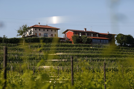 Relais La Collina and surroundng vineyards